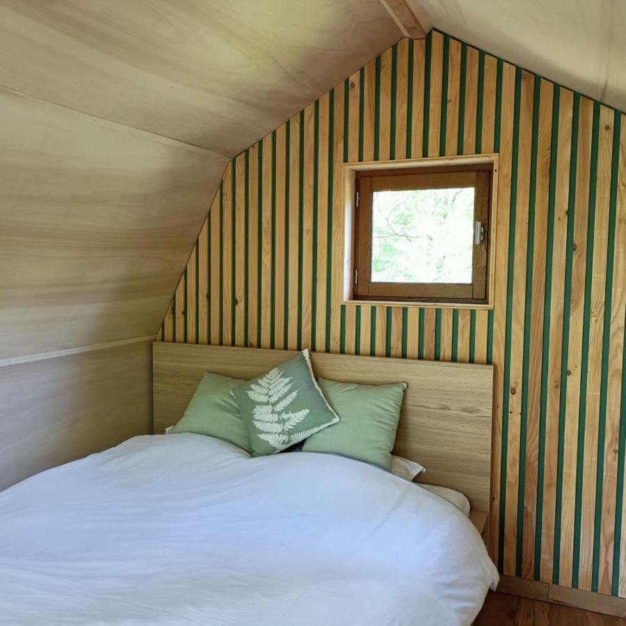 Chambres D'Hotes Au Chateau De Gizeux Zewnętrze zdjęcie